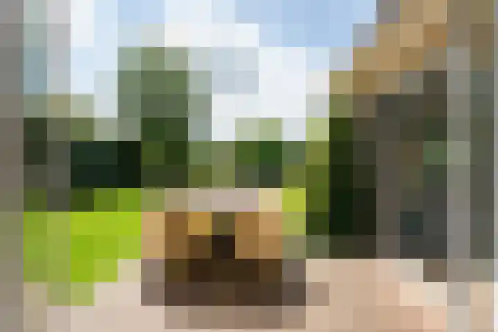 Koaidyk 6 454 Earnewâld thumbnail 12