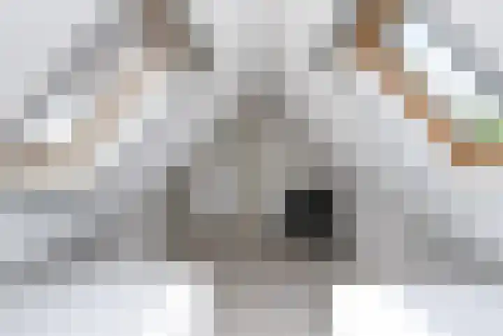 Koaidyk 6 454 Earnewâld thumbnail 18