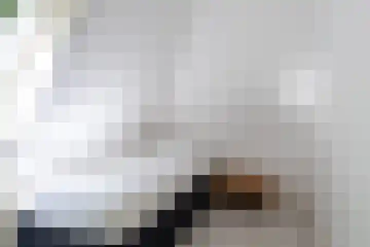 Koaidyk 6 454 Earnewâld thumbnail 22