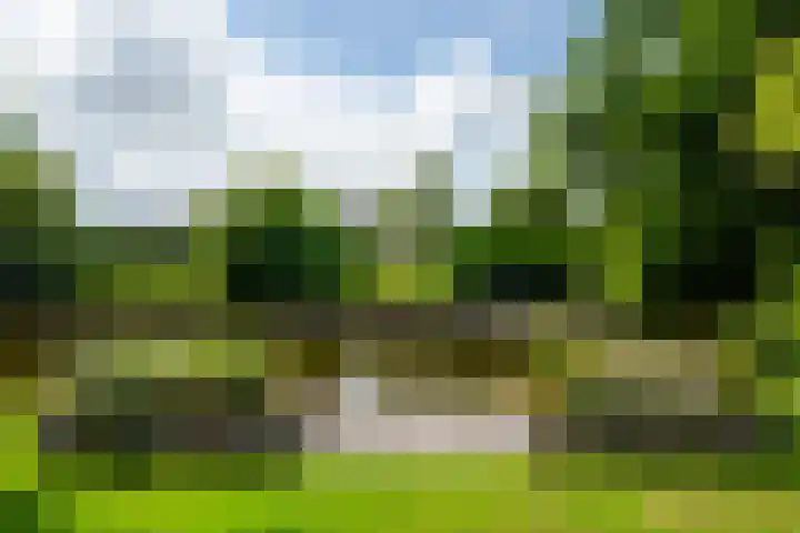 Koaidyk 6 454 Earnewâld thumbnail 27
