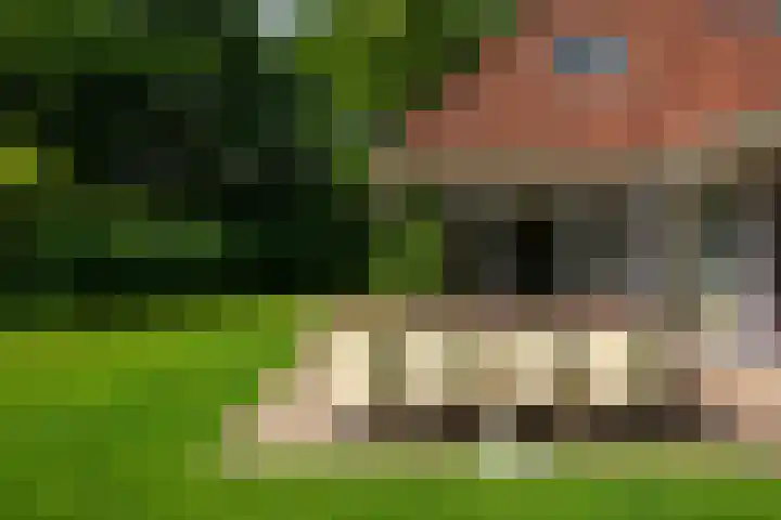 Koaidyk 6 454 Earnewâld thumbnail 30