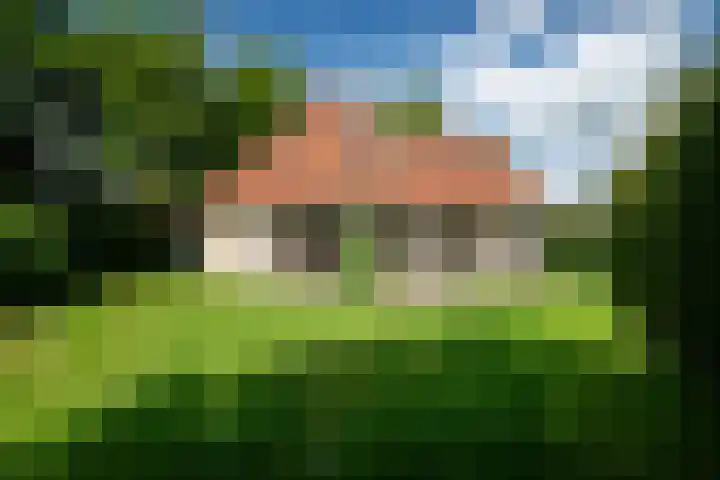 Koaidyk 6 454 Earnewâld thumbnail 31