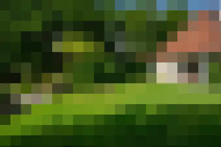 Koaidyk 6 454 Earnewâld thumbnail 32