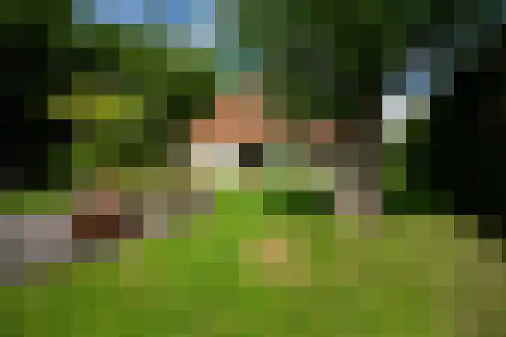 Koaidyk 6 454 Earnewâld thumbnail 33