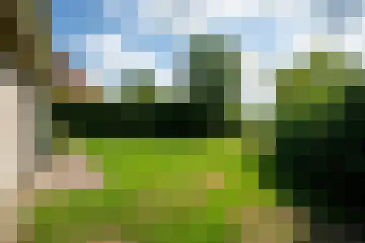 Koaidyk 6 454 Earnewâld thumbnail 34