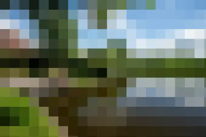 Koaidyk 6 454 Earnewâld thumbnail 35