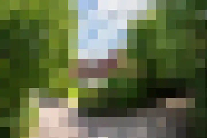 Koaidyk 6 454 Earnewâld thumbnail 38