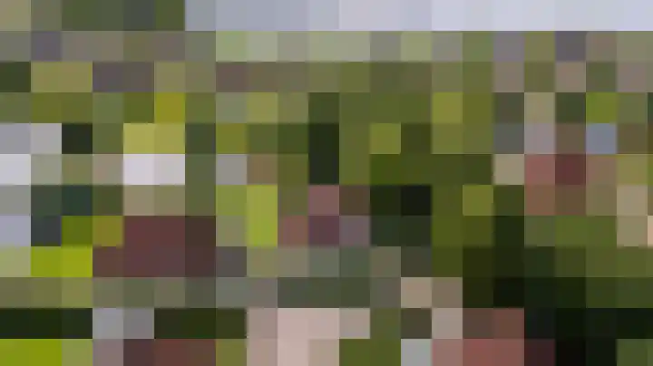 Koaidyk 6 454 Earnewâld thumbnail 40