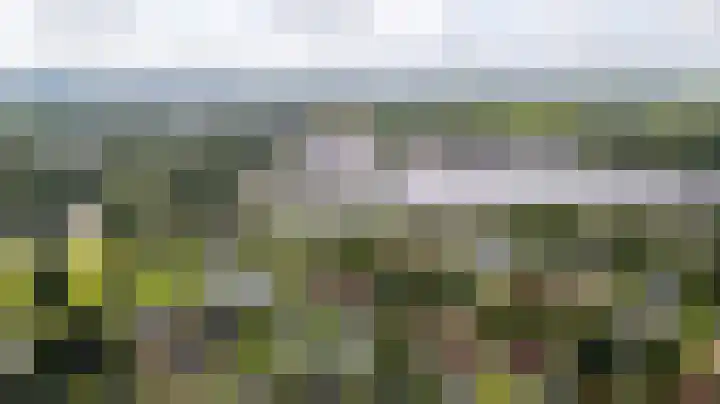 Koaidyk 6 454 Earnewâld thumbnail 43