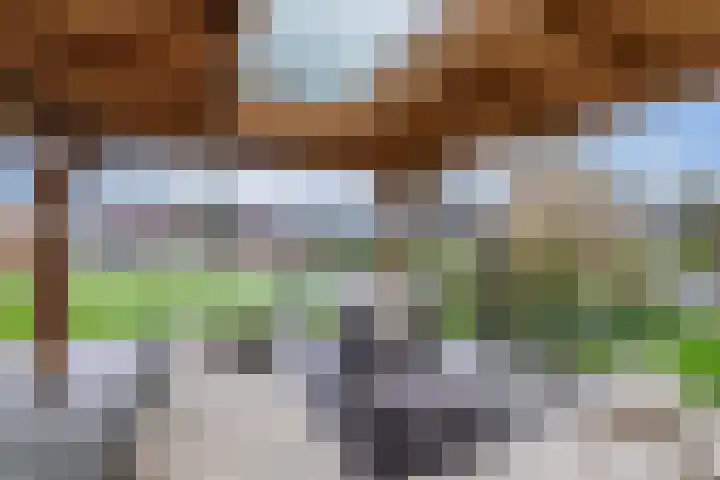 Koaidyk 6 504 Earnewâld thumbnail 20