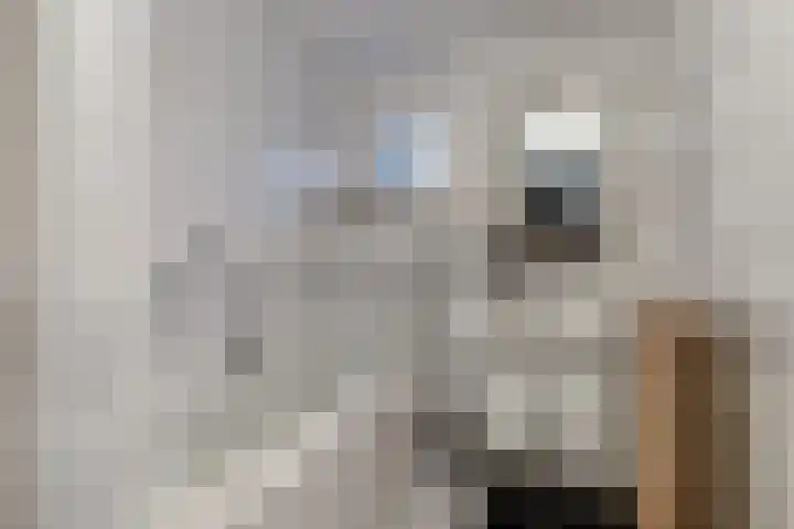 Koaidyk 6 504 Earnewâld thumbnail 6