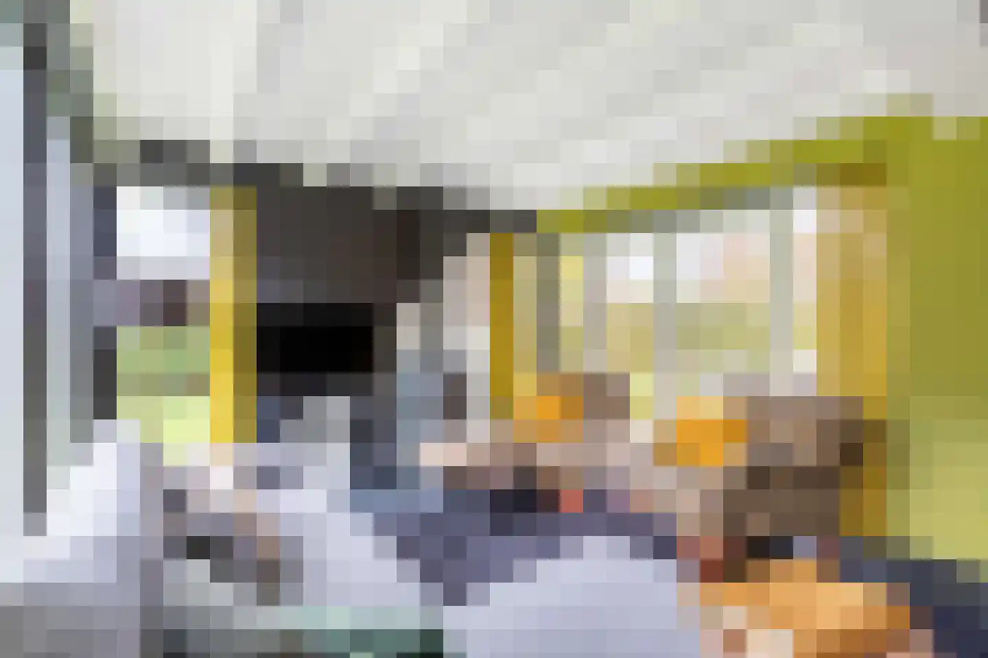 Koaidyk 6 616 Earnewâld thumbnail 12