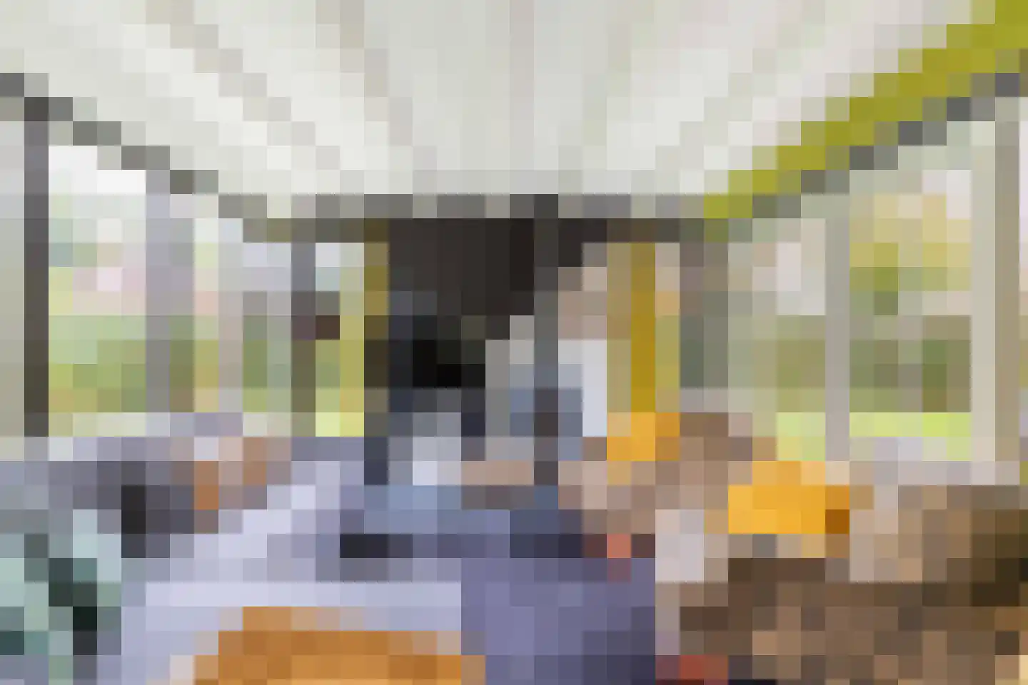 Koaidyk 6 616 Earnewâld thumbnail 13