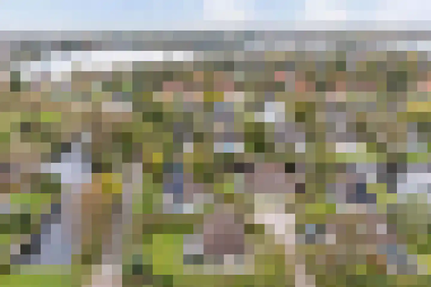 Koaidyk 6 616 Earnewâld foto 2