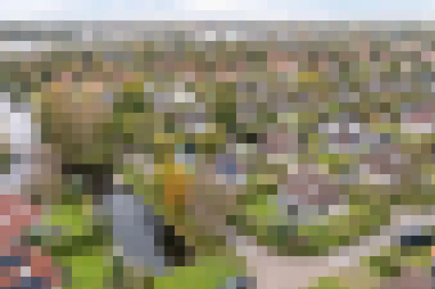Koaidyk 6 616 Earnewâld thumbnail 24