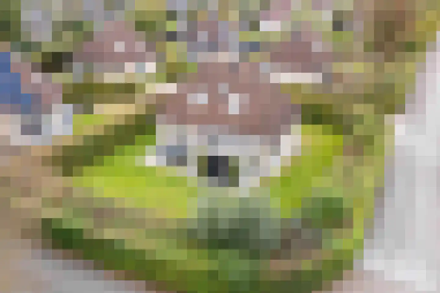 Koaidyk 6 616 Earnewâld thumbnail 26
