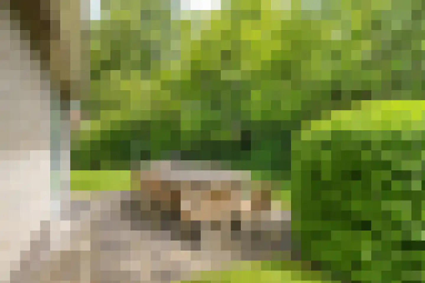 Koaidyk 6 625 Earnewâld thumbnail 30