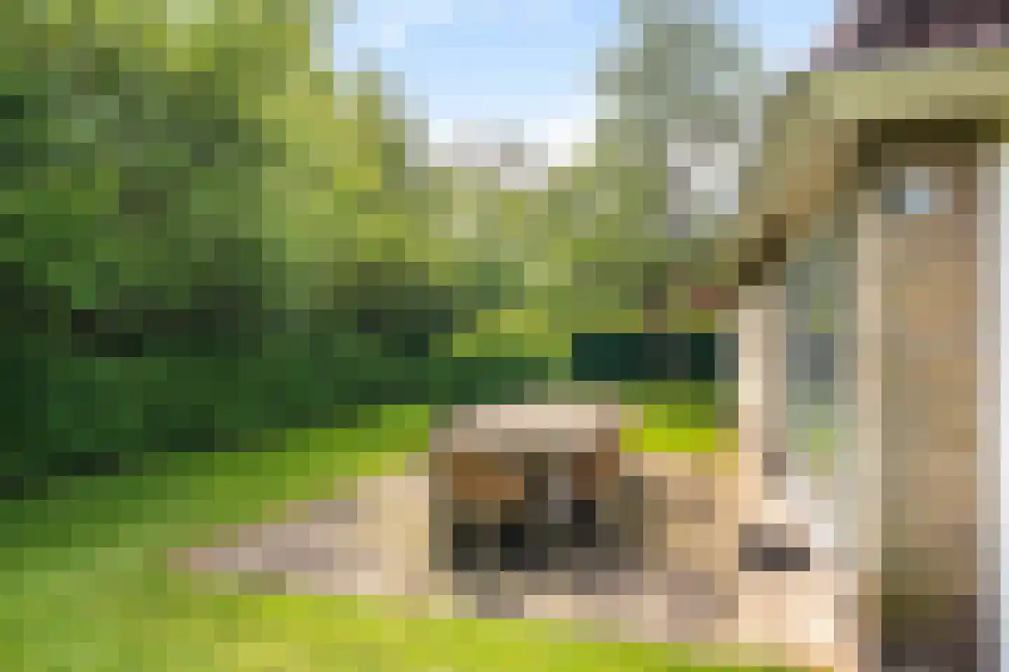 Koaidyk 6 625 Earnewâld thumbnail 31