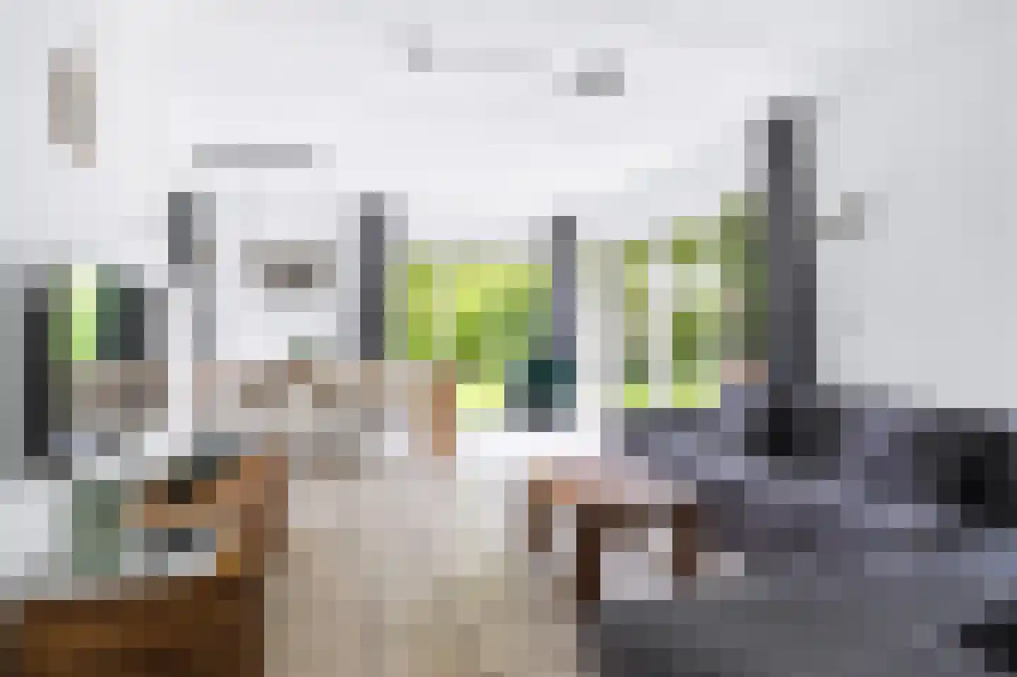 Koaidyk 6 625 Earnewâld thumbnail 8