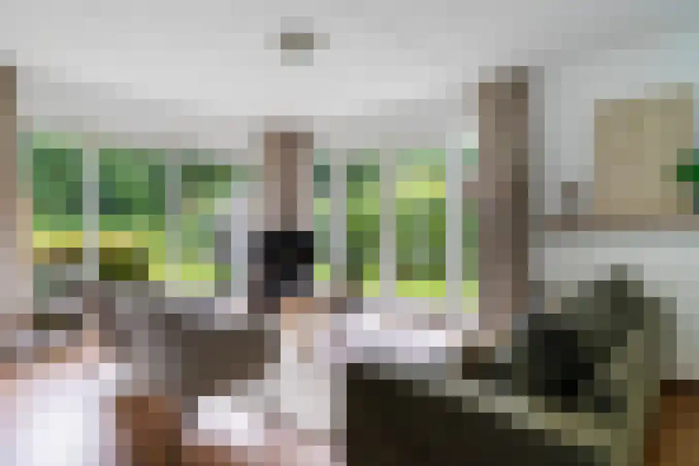 Koaidyk 6 642 Earnewâld thumbnail 15