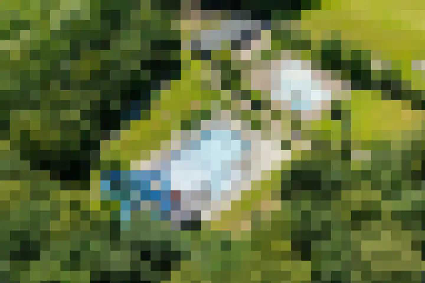 Koaidyk 6 642 Earnewâld thumbnail 39