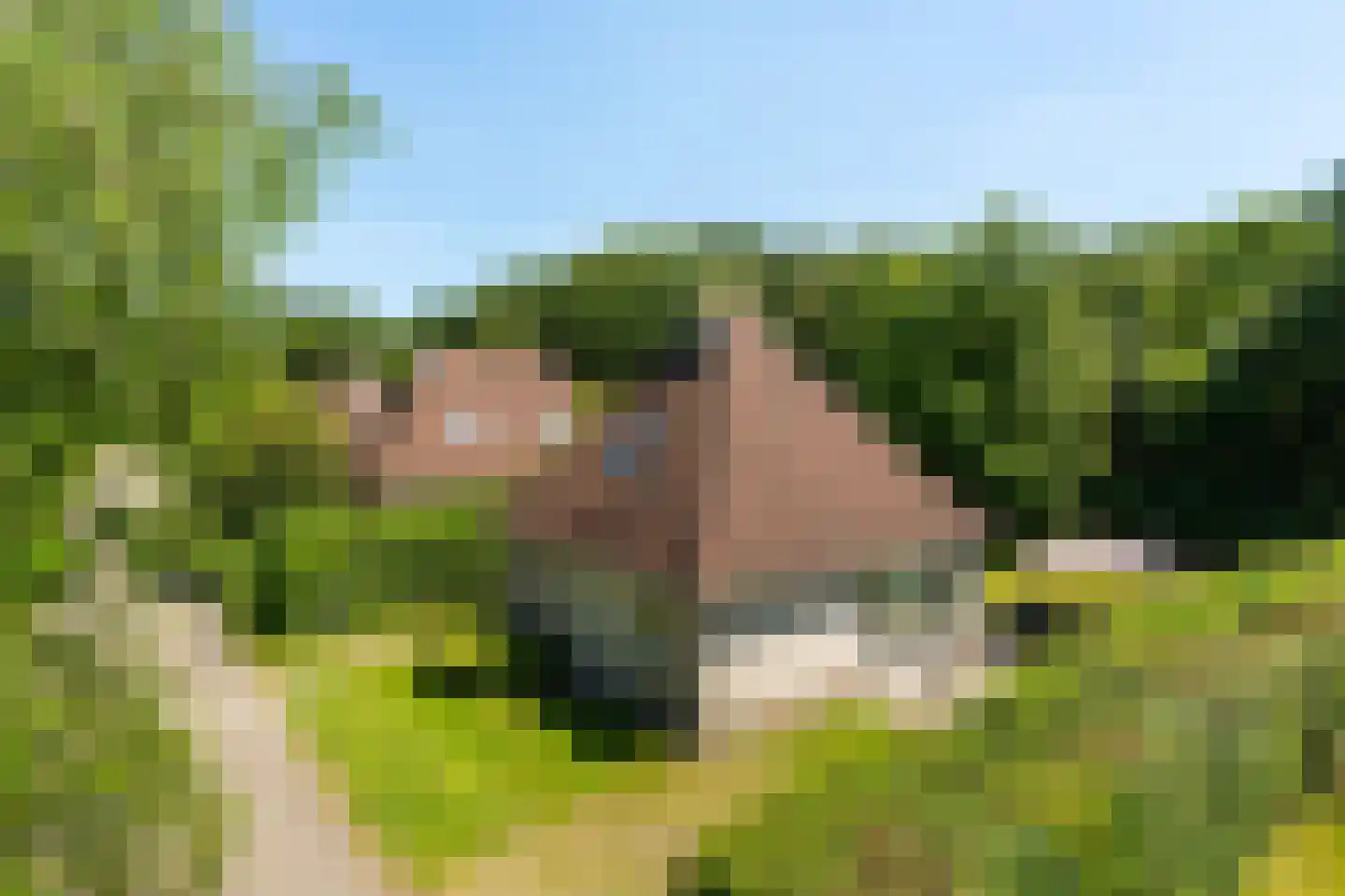Koaidyk 6 642 Earnewâld thumbnail 8