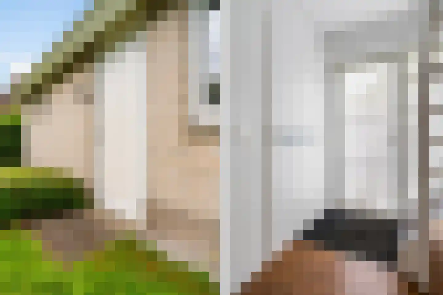 Koaidyk 6 642 Earnewâld thumbnail 9