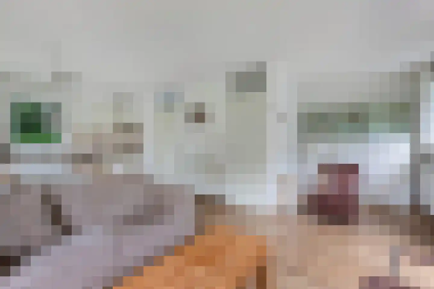 Koaidyk 6 645 Earnewâld thumbnail 10