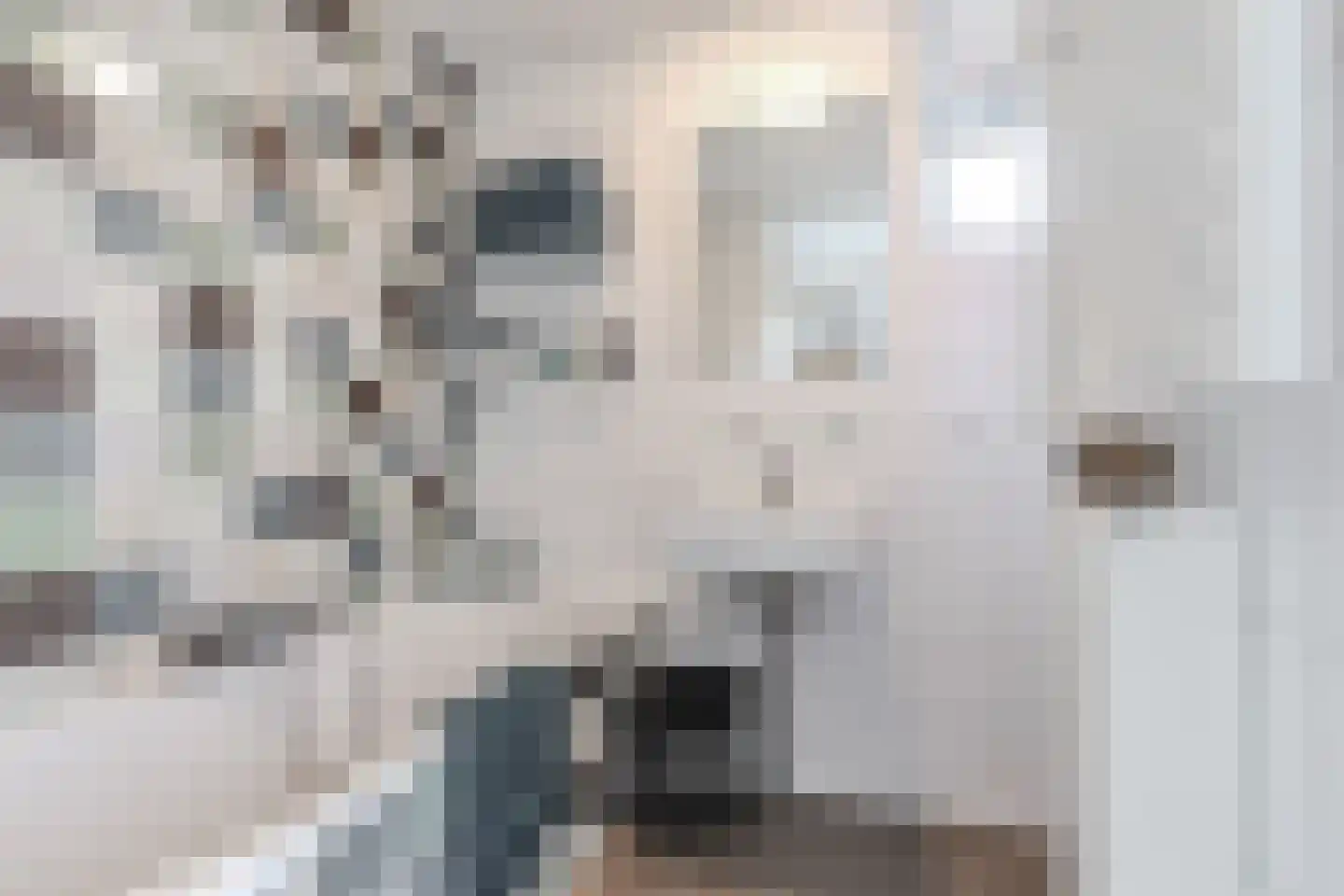 Koaidyk 6 648 Earnewâld thumbnail 29