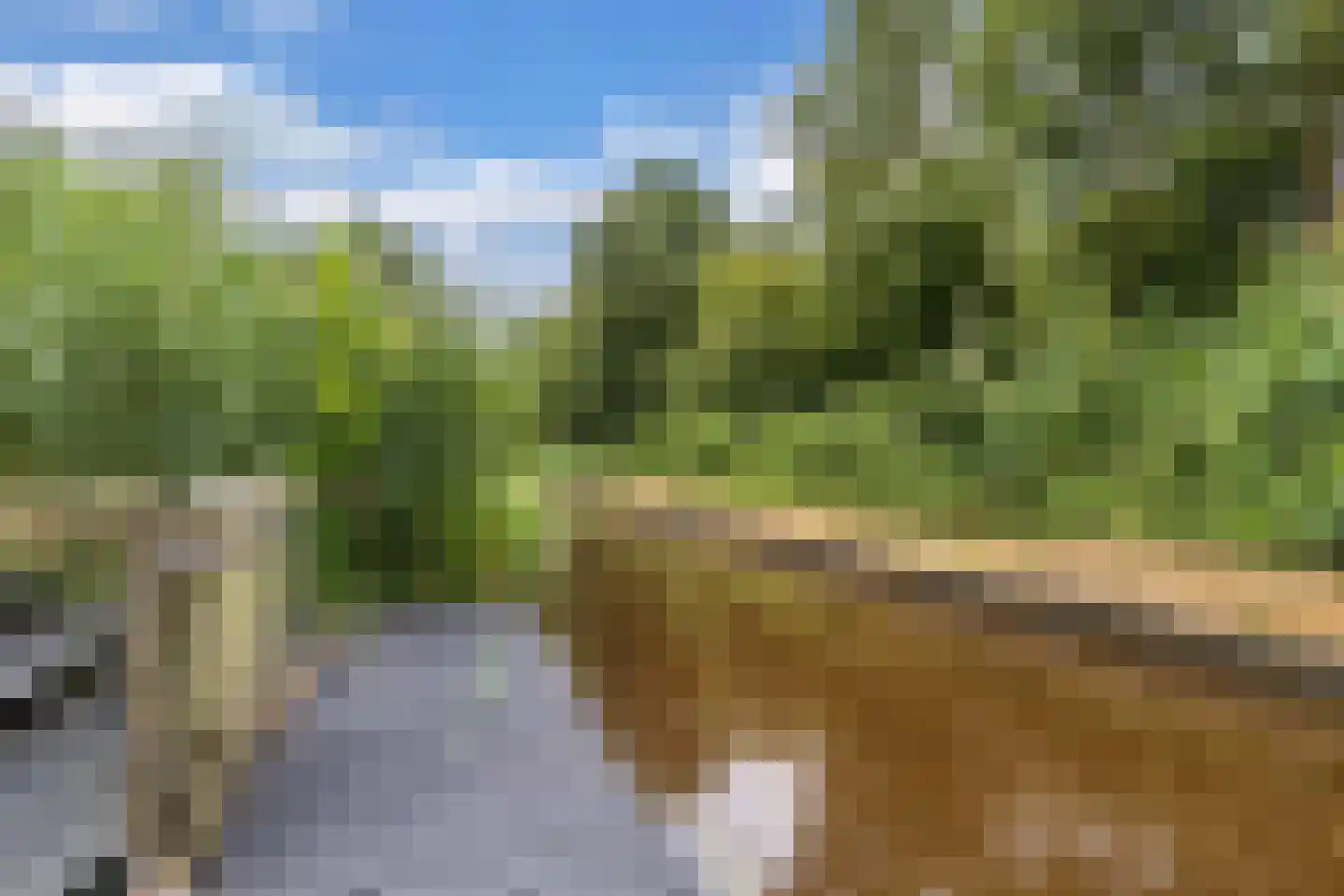 Koaidyk 6 648 Earnewâld thumbnail 41