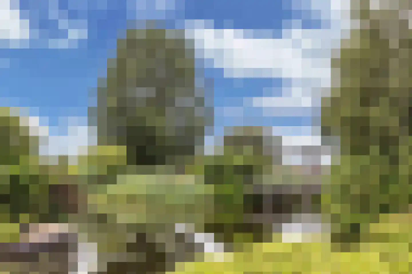 Koaidyk 6 648 Earnewâld thumbnail 43