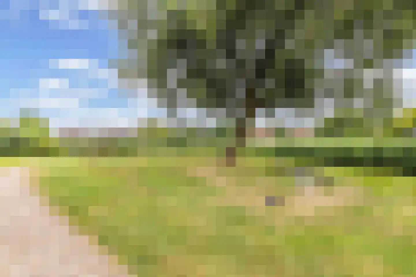 Koaidyk 6 648 Earnewâld thumbnail 46