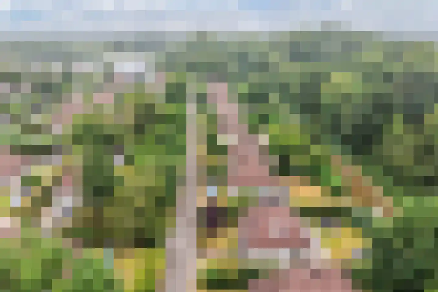 Koaidyk 6 648 Earnewâld thumbnail 49