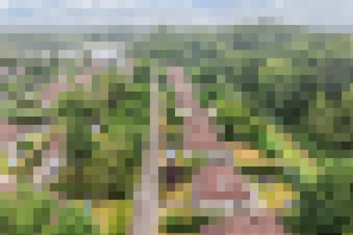 Koaidyk 6 648 Earnewâld thumbnail 6