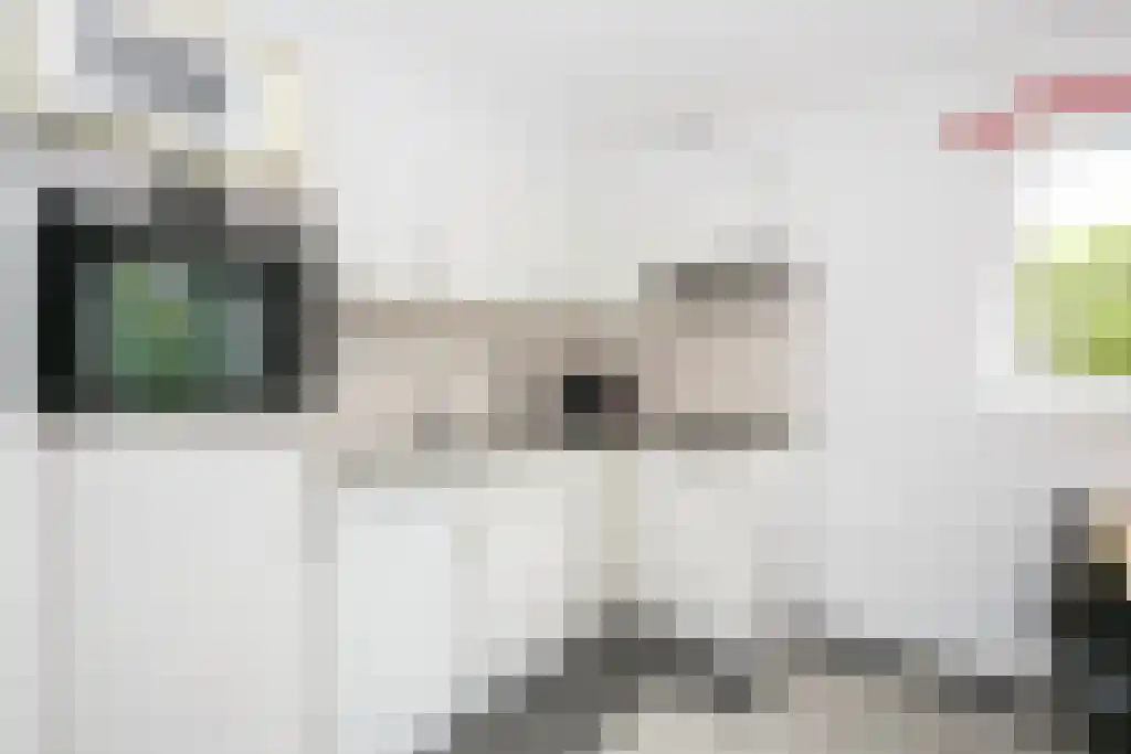 Koaidyk 6 649 Earnewâld thumbnail 12