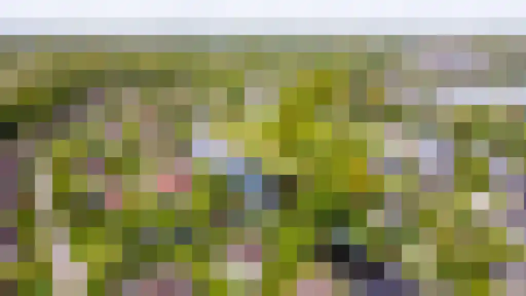 Koaidyk 6 649 Earnewâld thumbnail 24