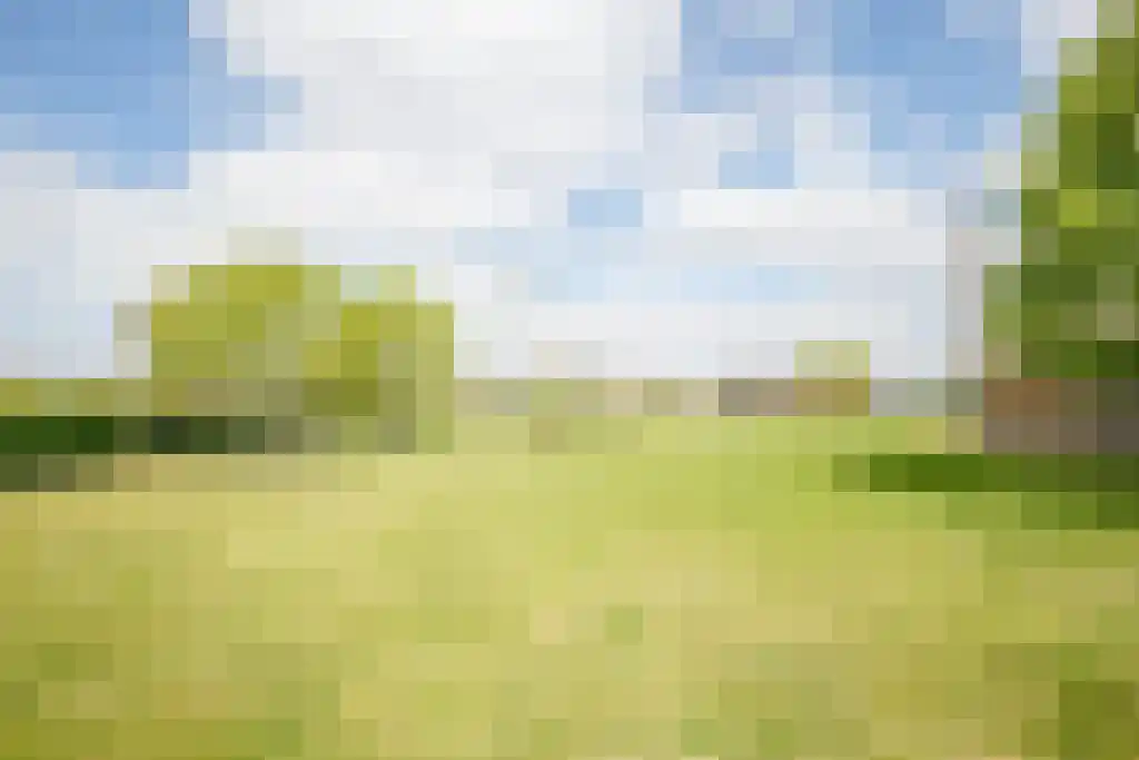 Koaidyk 6 649 Earnewâld thumbnail 27