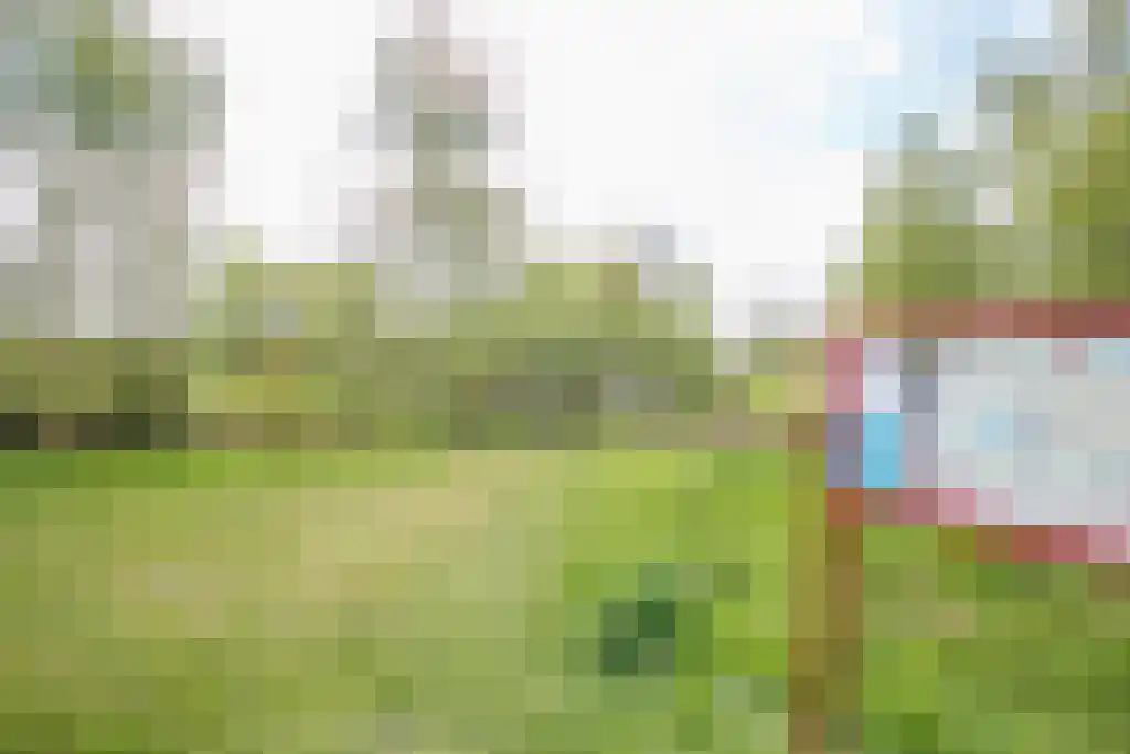 Koaidyk 6 649 Earnewâld thumbnail 31