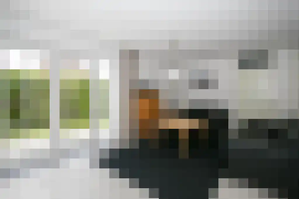 Koaidyk 6 649 Earnewâld thumbnail 8