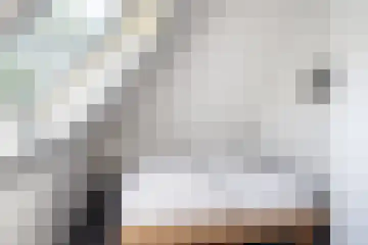 Koaidyk 6 652 Earnewâld thumbnail 16