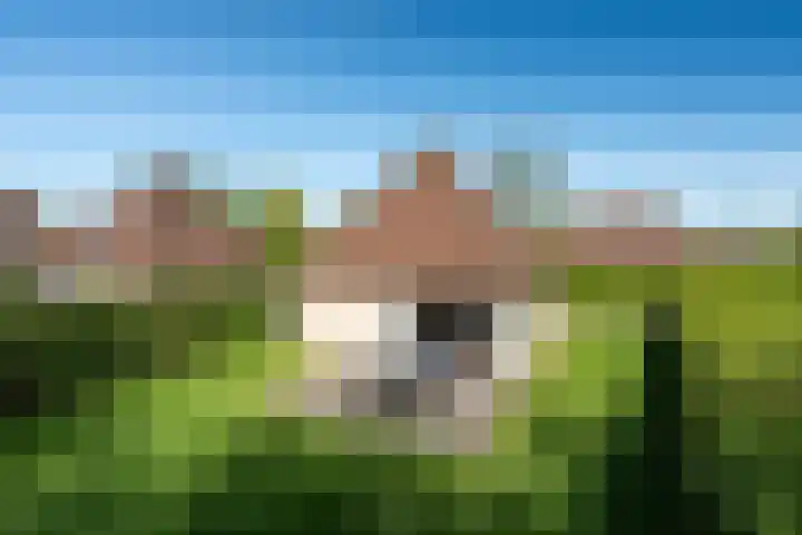 Koaidyk 6 652 Earnewâld thumbnail 19