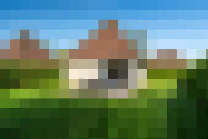 Koaidyk 6 652 Earnewâld thumbnail 20