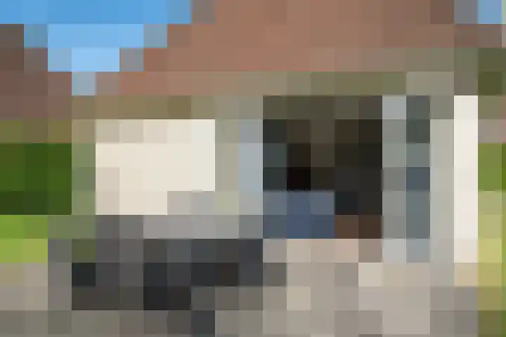 Koaidyk 6 652 Earnewâld thumbnail 21