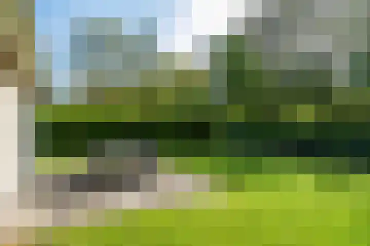 Koaidyk 6 652 Earnewâld thumbnail 22