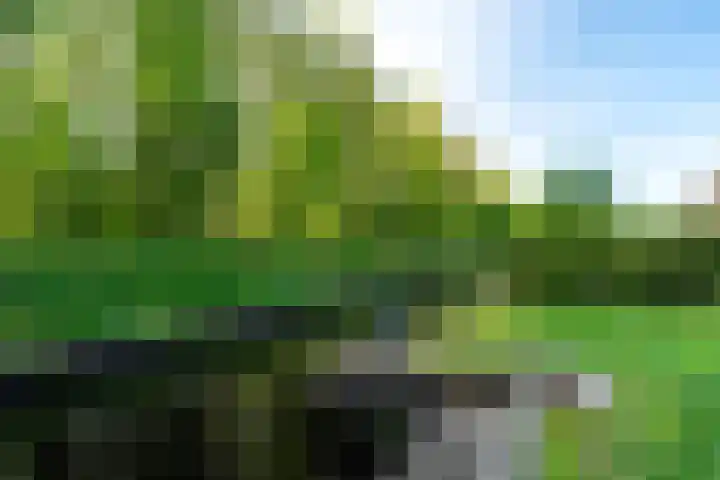 Koaidyk 6 652 Earnewâld thumbnail 24
