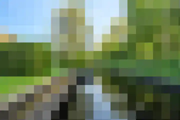 Koaidyk 6 652 Earnewâld thumbnail 25