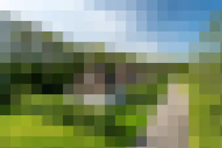 Koaidyk 6 652 Earnewâld thumbnail 29
