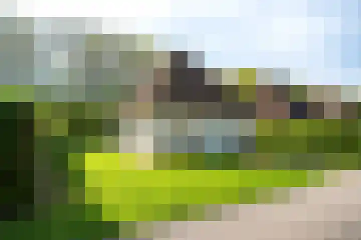 Koaidyk 6 652 Earnewâld thumbnail 31