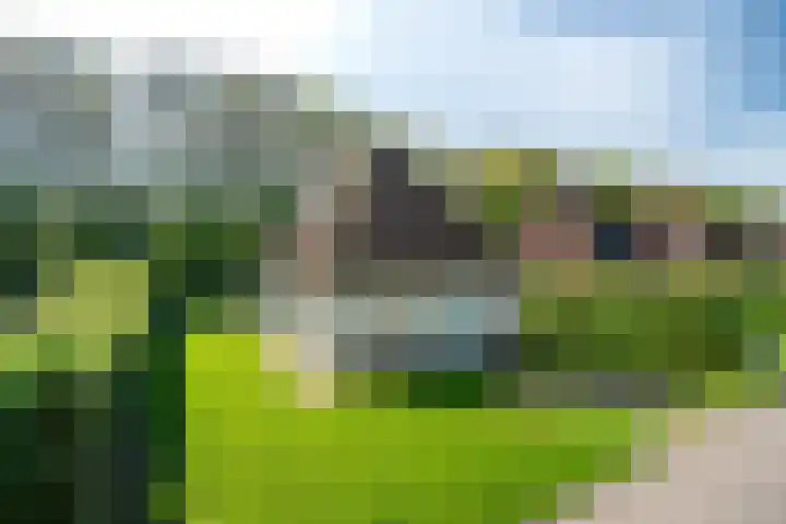 Koaidyk 6 652 Earnewâld thumbnail 35