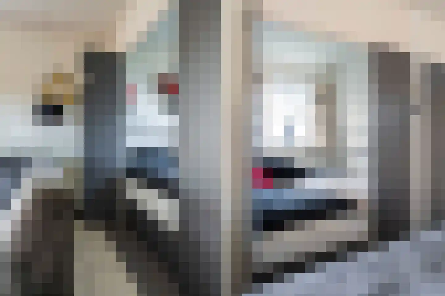 Koaidyk 6 663 Earnewâld thumbnail 21